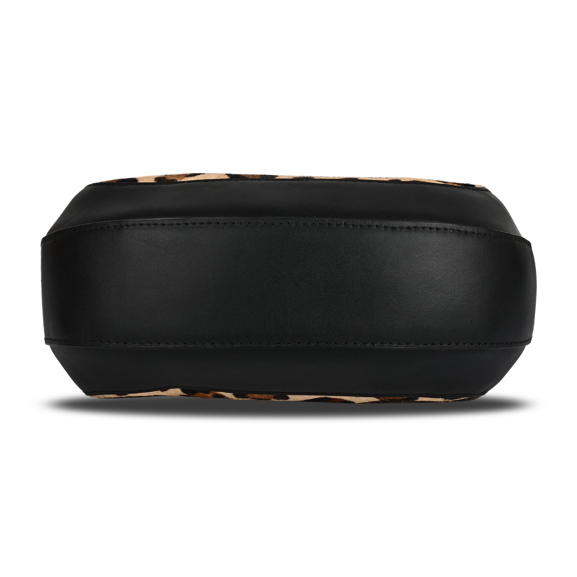 The Jungle Curve Hobo