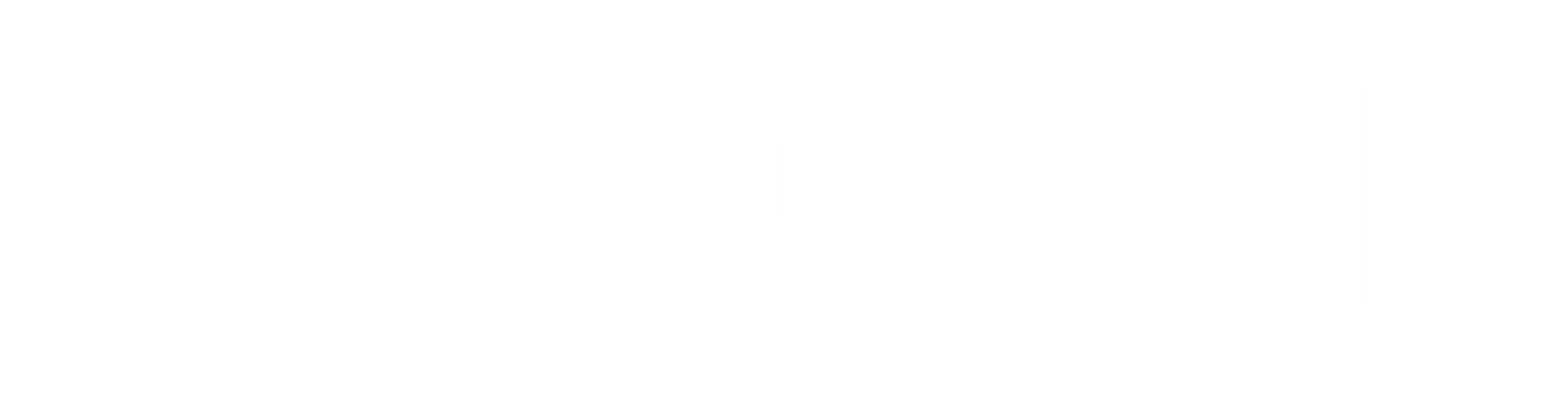 KAIEDEN 